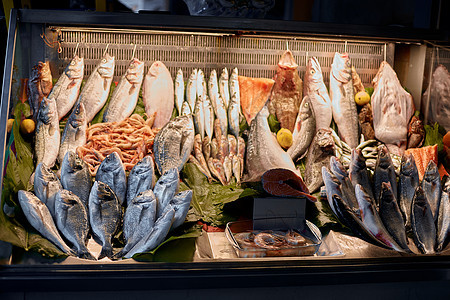 伊斯坦布尔海滨的街边小摊上放着新鲜的鱼 街边市场的新鲜海鲜鳟鱼展示零售盐水美食店铺美味产品团体饮食图片