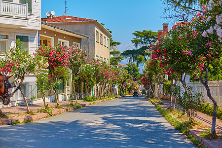 土耳其布库卡达岛 当地民众的度假村花园旅行植物公园建筑小路旅游建筑学人行道院子图片