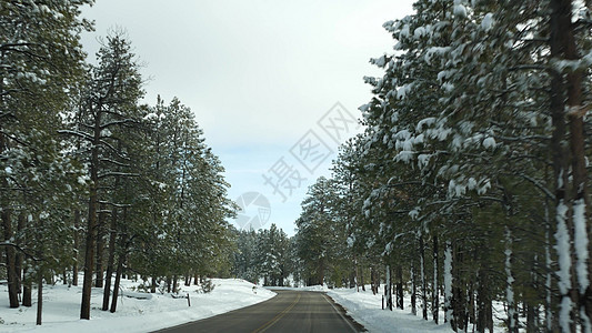 在寒冷的森林里下雪 驾驶汽车 在美国犹他州的冬天进行公路旅行 针叶松树 从汽车透过挡风玻璃看 圣诞假期 12 月布莱斯峡谷之旅 图片