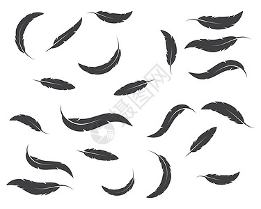 羽毛图标插图矢量模板标识动物艺术重量墨水写作绘画黑色棕色鹅毛笔图片