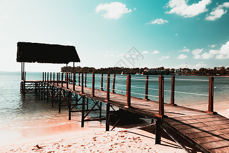 非洲 毛里求斯巴拉克拉瓦海滩异国蓝色海景天堂情调假期热带太阳植物海岸图片