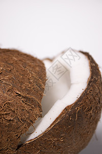 白背景的椰子被切开 热带水果 坚果情调木质美食牛奶白色异国食物棕色图片