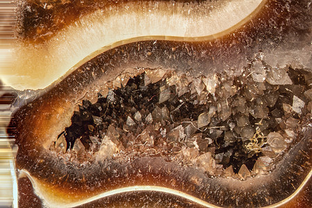 Ammonite化石化石头圆形水晶石化海洋生物史前史动物化石绿色螺旋背景图片