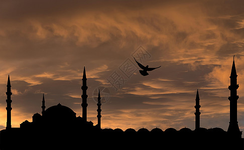 日落 飞鸟的天空和清真寺的轮廓图片
