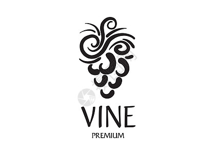 手工绘制的矢量标志 用于酿酒的葡萄收成葡萄园涂鸦草图藤蔓插图墨水装饰品食物标签图片