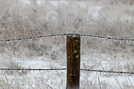 雪落雪 铁丝网栅栏被冰覆盖图片