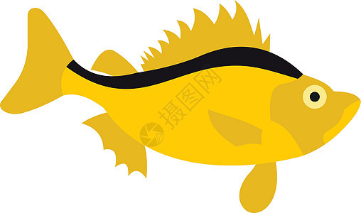 背部有黑色条纹的黄色鱼 ico背景图片