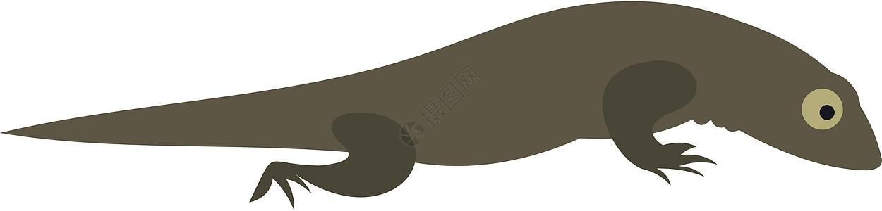 平面样式中的 Triton 图标尾巴捕食者荒野生物脊椎动物游泳森林爬行动物动物海卫图片