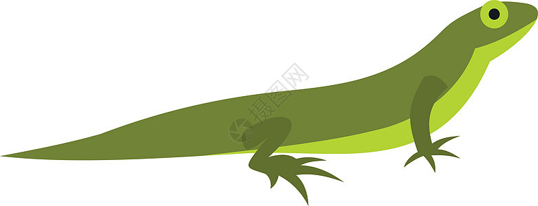 平面样式中的 Triton 图标荒野沼泽尾巴捕食者森林配种海卫爬行动物野生动物动物群图片