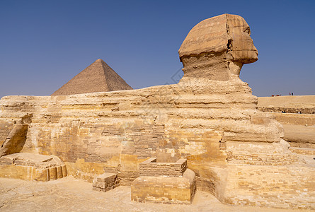 吉萨的伟大斯芬克斯旅行历史沙漠世界雕像金字塔游客纪念碑文化考古学图片
