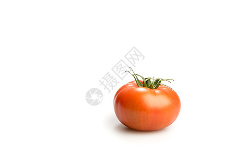 一个现实的西红柿 被白种背景孤立图片