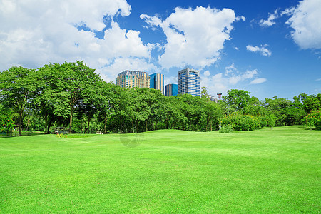 在城市公园 草坪办公室花园场地蓝色天空公园晴天建筑学城市草地图片