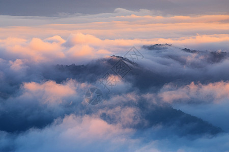 山岳和大雾 在早晨天空国家阴霾热带公园景点风景生态爬坡森林图片