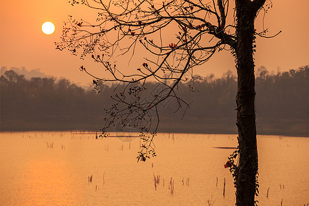 湖面日落地平线森林环境旅游公园太阳天空闲暇阴影旅行图片