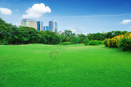 在城市公园 草坪环境晴天风景草地场地自由蓝色高楼天空公园图片