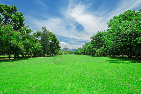 在城市公园 草坪蓝色高楼公园办公室建筑土地晴天建筑学场地草地图片