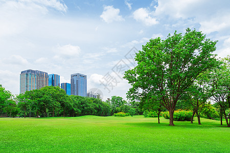 在城市公园 草坪自由城市环境蓝色建筑公园花园场地土地建筑学图片