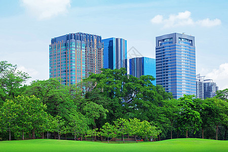 在城市公园 草坪天空自由建筑学蓝色土地草地风景公园高楼城市图片