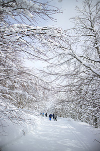 雪林中的雪鞋季节森林活动远足者远足雪鞋假期白色旅行冒险背景图片