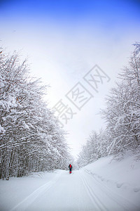 雪林中的雪鞋冒险季节白色远足雪鞋活动假期旅行森林远足者图片