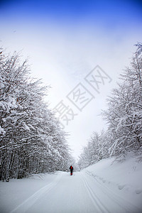 雪林中的雪鞋活动森林远足者冒险远足季节假期旅行雪鞋白色图片