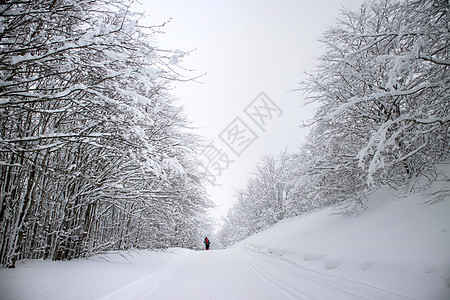 雪林中的雪鞋活动季节雪鞋假期远足者冒险旅行森林白色远足图片