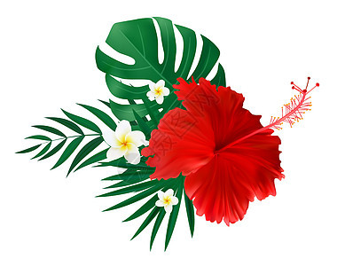 红芙蓉花与棕榈叶隔离在白色背景 它制作图案矢量小路植物群红色花头花瓣叶子热带黄色树叶美丽图片