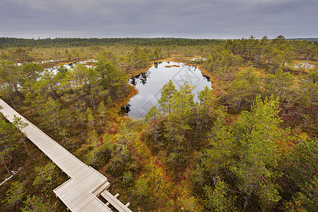 Lahemaa 爱沙尼亚国家公园公园全景天线踪迹沼泽森林图片
