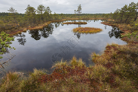 Lahemaa 爱沙尼亚国家公园反射全景公园天线踪迹森林沼泽图片
