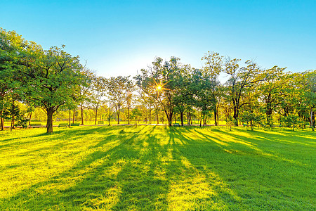 日间美丽的花园晴天美化环境土地场地阳光蓝色建筑公园城市图片