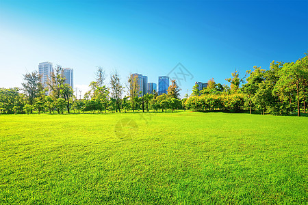 日间美丽的花园天空建筑美化草地小路曲线阳光绿色途径城市背景图片