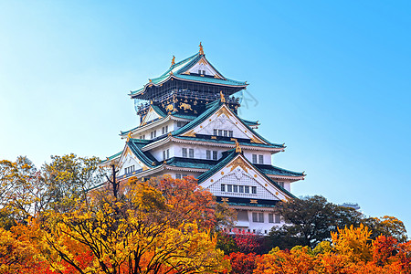 大阪城大阪城堡 秋叶遗产风景观光地标文化旅游旅行植物群公园吸引力图片