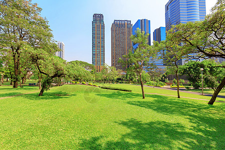 日间美丽的花园公园绿色草地阳光曲线途径天空耀斑美化城市图片