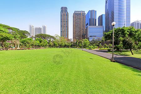 日间美丽的花园城市蓝色天空小路曲线途径阳光建筑公园耀斑图片
