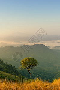 从最高点看山区的景色爬坡场景森林乡村阳光薄雾顶峰公园季节天气图片