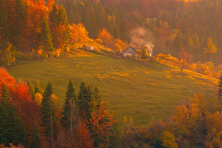 山上的秋叶树 草原和干草堆房子草垛仙境草地叶子风景天空季节爬坡旅行图片