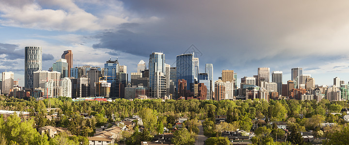 Calgary  城市全景公园市中心摩天大楼旅行建筑学天际天空街道景观建筑图片