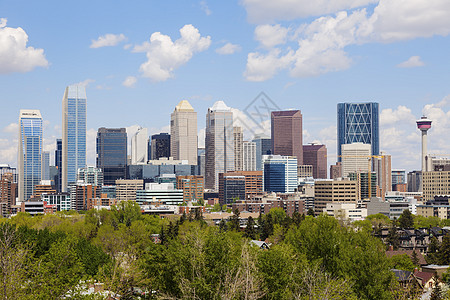 Calgary  城市全景地标天空建筑街道旅行天际建筑学晴天办公楼景观图片