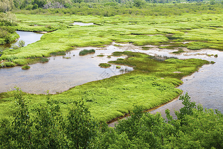新斯科舍的布雷顿角高地国家公园绿色沼泽草地池塘晴天白色旅行图片