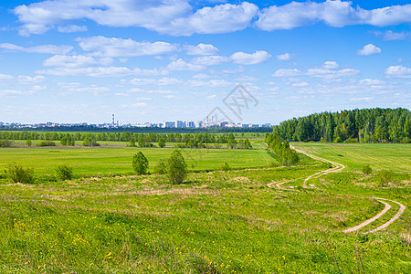 在领域的夏天晴朗的风景 美丽的夏日风景 白天在阳光下的照片 俄罗斯的性质蓝色植物群季节场景农场草地生长土地地平线栽培图片