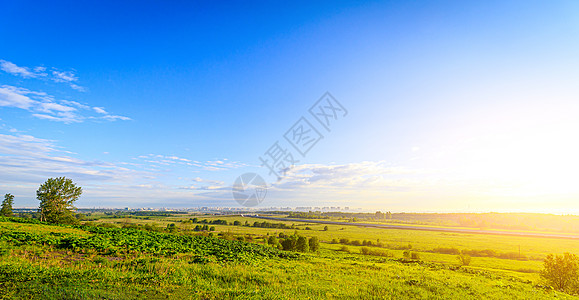 在领域的夏天晴朗的风景 美丽的夏日风景 白天在阳光下的照片 俄罗斯的性质全景牧场植物群环境植物蓝色生长草原农村地平线图片