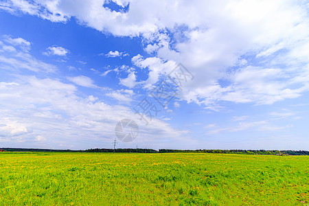 在领域的夏天晴朗的风景 美丽的夏日风景 白天在阳光下的照片 俄罗斯的性质土地农田农场栽培季节场景草原树木全景植物图片