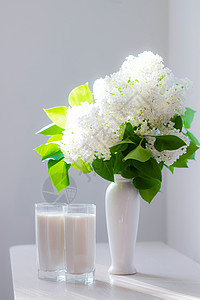 牛奶和白色丁香花 花瓶里放着几杯牛奶和白花 牛奶 喝 关于牛奶的好处的文章图片