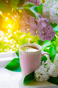 花粉和茶叶 热饮 夏花 晚上背景时间桌子疗法芳香早餐甜点一杯茶植物群园艺图片