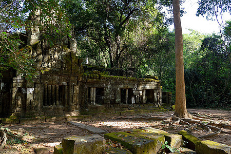 柬埔寨暹粒 吴哥综合体的寺庙雕塑地标历史考古学建筑学旅行丛林石头废墟历史性图片