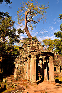 美丽的著名神庙的景象 吴哥 塔普尔霍姆考古学精神丛林历史高棉语文明遗产雕塑森林旅游图片