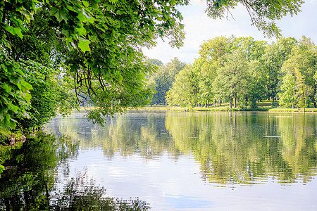 湖面上树木的镜像 夏季公园景观 城市公园 镜像 湖面光滑 景观 夏天草地松树森林地平线阳光旅行天空风景木头蓝色图片