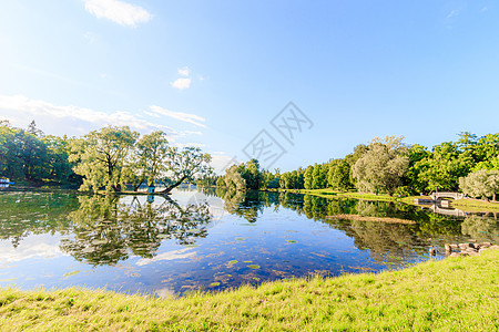 夏天的晚上在公园里有一个湖 夏季景观 俄罗斯的性质 维护良好的公园 晚上的光滑度 水中的倒影季节树木天空旅行池塘森林晴天反射职业图片