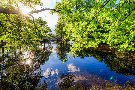 夏天的晚上在公园里有一个湖 夏季景观 俄罗斯的性质 维护良好的公园 晚上的光滑度 水中的倒影树木阳光职业湖水旅行钓鱼日落天空全景图片