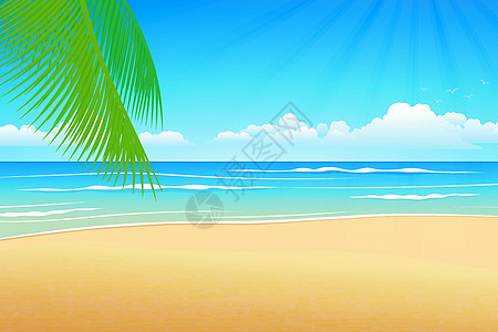 背景海沙和椰子树旅游季节海岸场景海景棕榈旅行地平线海洋晴天图片